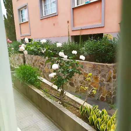 Kamp alanı Casa Eddy